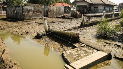 "Abu-Abu" Penataan Muara Gembong oleh Ridwan Kamil