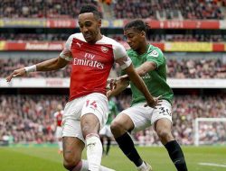 Hasil Pertandingan Arsenal vs Brighton: Skor 1-1