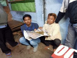 Polisi Cokok 2 Pemuda yang Hendak Pesta Ganja