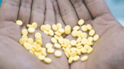 3 Pengedar Ribuan Obat Eximer dan Tramadol Dibekuk Polisi