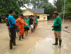 UPTD Hutan Kota Berjibaku Bersihkan Lumpur Sisa Banjir