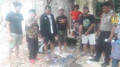 Hendak Cari Cacing, Saman Malah Bertemu Buaya Muara di Saluran Air Bekasi