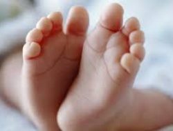 Diduga Hasil Hubungan Gelap, Bayi Ini Dibuang dalam Tas di Pinggir Jalan Kalimalang
