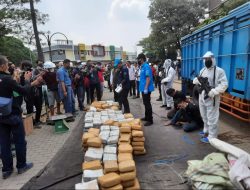 BNN: Setengah Ton Ganja Dikirim dari Aceh Lewat Bekasi, Titik Peredaran di Jakarta