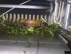 Tersangkut Sampah, Balita Ditemukan Tewas di Kali Bekasi
