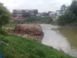 Sampah Bambu dan Ranting Pohon Menggumpal di Kali Bekasi
