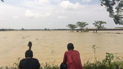 Pebayuran Kebanjiran, Lahan Pertanian Terganggu