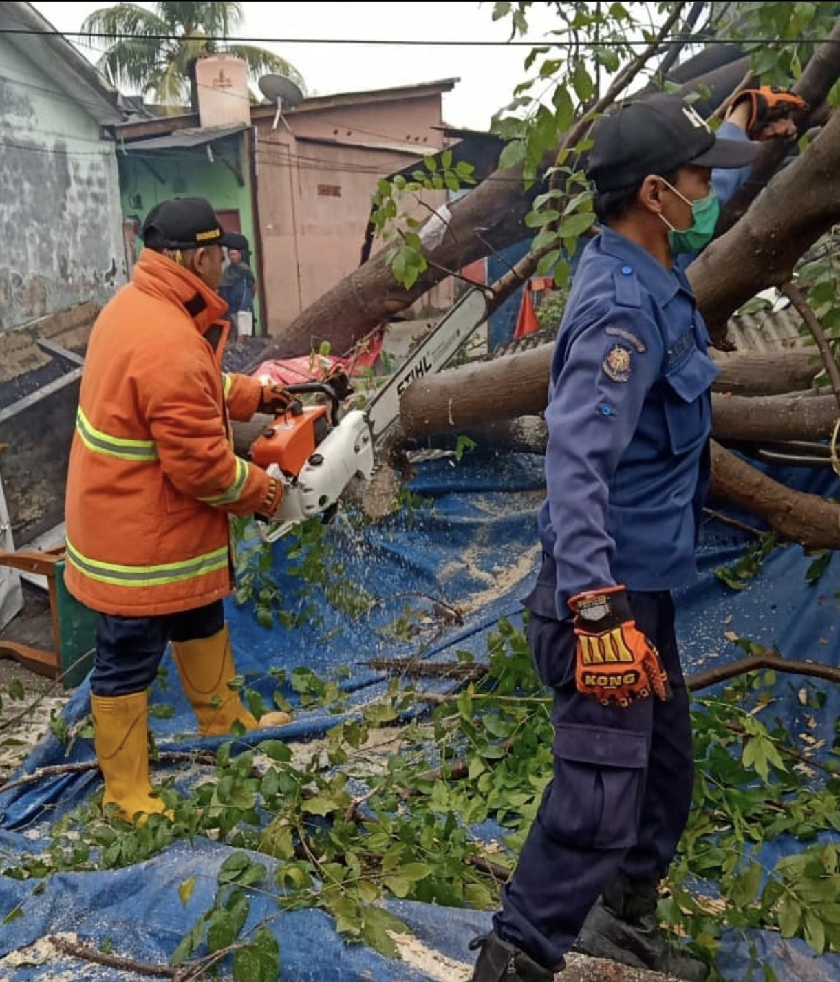 Pemotongan pohon tumbang akibat angin puting beliung di Kota Bekasi, Jumat (26/2/2021). Foto: (Ist)
