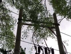 PLN UP3 Bekasi Gerak Cepat Recovery Kelistrikan di Disdukcapil