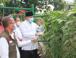 Wakil Wali Kota Resmikan Kebun Ketahanan Pangan Grand Prima Bintara