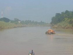 Cari Udang, Randi Hilang Tenggelam di Kali Citarum