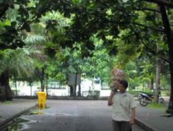 DPRD Kota Bekasi Dorong Pemkot Penuhi Kuota 30 Persen RTH