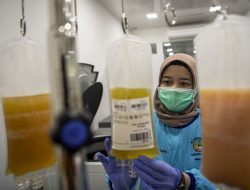 Bekasi Kehabisan Stok Darah Penyintas Covid-19
