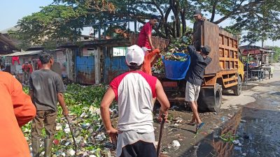 Petugas membersihkan sampah untuk penanaman bibit unggul pohon jelang cleanup day. Foto: Dok.Diskominfosantik