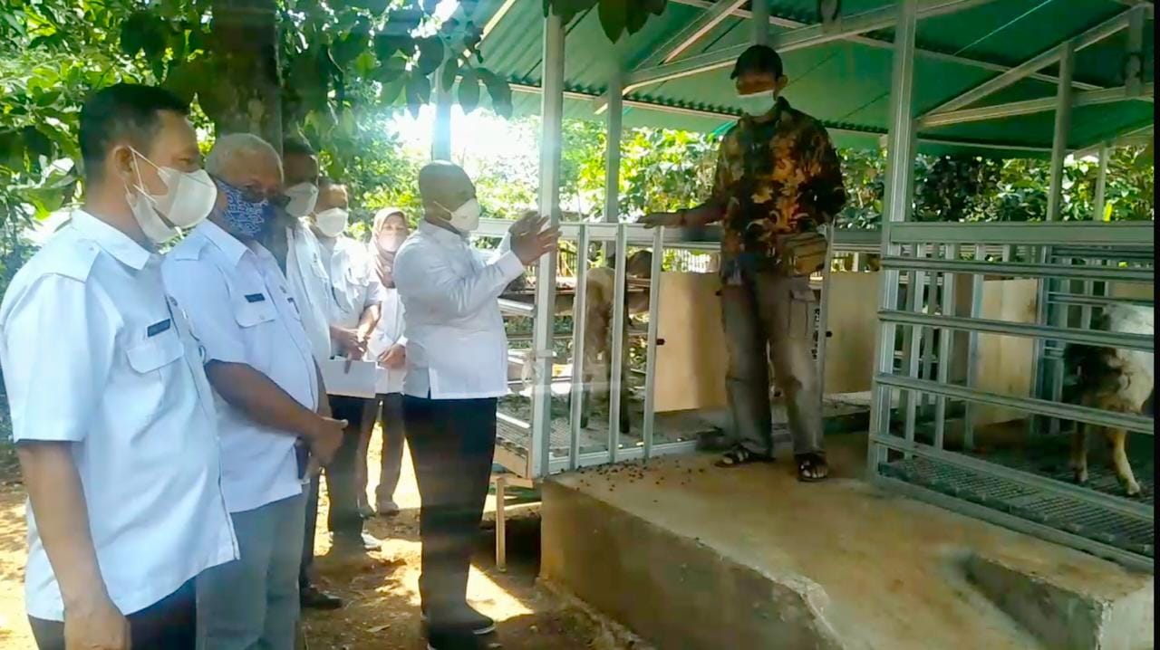Wali Kota Bekasi kunjungi Bapak Darmansyah yang diberikan pengelolaan 1 kambing jantan dengan 10 kambing betina
