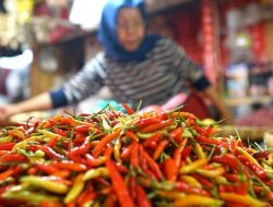 Harga Cabai di Bekasi Semakin Pedas, Warga Beralih Konsumsi Cabai Busuk