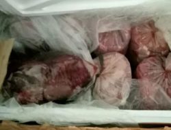 Buset! 720 Kg Daging Celeng Nyaris Diseludupkan ke Bekasi