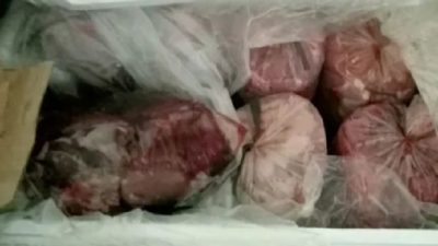 Ilustrasi daging celeng