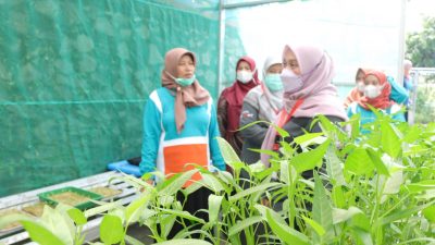 Penilaian Tim Kampung Tangguh, Hari Ini Ke RW 09 Kelurahan Ciketing Udik Dan RW 23 Kelurahan Mustika Jaya