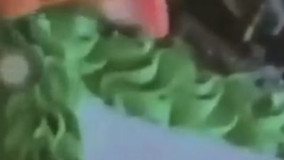 Screenshot Oknum Polisi Jilat Kue HUT TNI ke-77