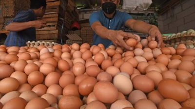 Jelang Nataru, Harga Telur Ayam Merangkak Naik hingga Tembus Rp33.000 Per Kilogram