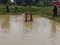 Buaya Peliharaan Lepas ke Kolam, Damkar Ungkap Kesulitan Evakuasi
