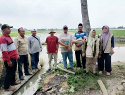 Pemkab Bekasi Salurkan Bantuan Benih dari Kementan Secara Bertahap
