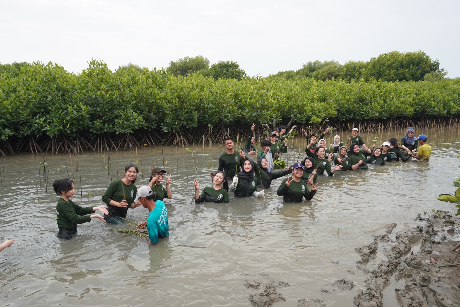 Penanaman Mangrove oleh mahasiswa/i LSPR di Muara Gembong Bekasi. Foto: Istimewa