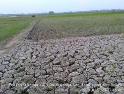 9 Kecamatan di Kabupaten Bekasi Kekeringan Sampai Susah Dapat Air Bersih