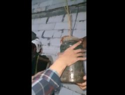 Rumah Warga di Pondok Gede Digerebek BNN, 39 Pot Tanaman Ganja Ikut Diamankan