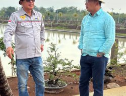 Kolaborasi Agribisnis dan Pariwisata: Ridwan Kamil Mendukung Kertajati Family Farm & Education Park