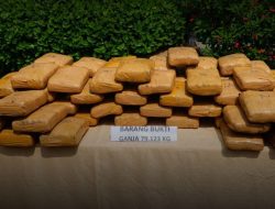 Polrestro Bekasi Musnahkan 79 Kilogram Ganja dari Jaringan Asal Lampung