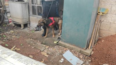 Polisi Terjunkan Anjing Pelacak Untuk Sisir Lokasi Pembunuhan Bocah Perempuan di Bantargebang