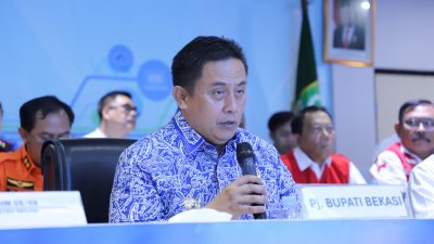 Pj Bupati Bekasi, Desy Supriyadi