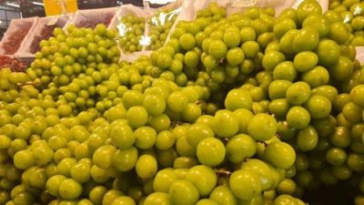 Anggur Shine Muscat