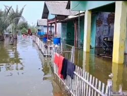 Banjir Rob Kembali Rendam Lima Desa di Muaragembong, 3.000 KK Terdampak