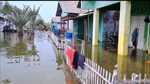 Banjir rob di Muaragembong