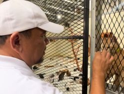 Heri Koswara Teken MoU dengan Komunitas Pecinta Hewan, Fokus pada Kesejahteraan Kucing dan Anjing Terlantar