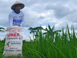 Dinas Pertanian Kabupaten Bekasi Hadapi Kendala dalam Pendataan Penerima Pupuk Bersubsidi 2025