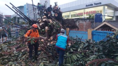 Angin Kencang Sebabkan Pohon Tumbang di Tiga Lokasi Kota Bekasi