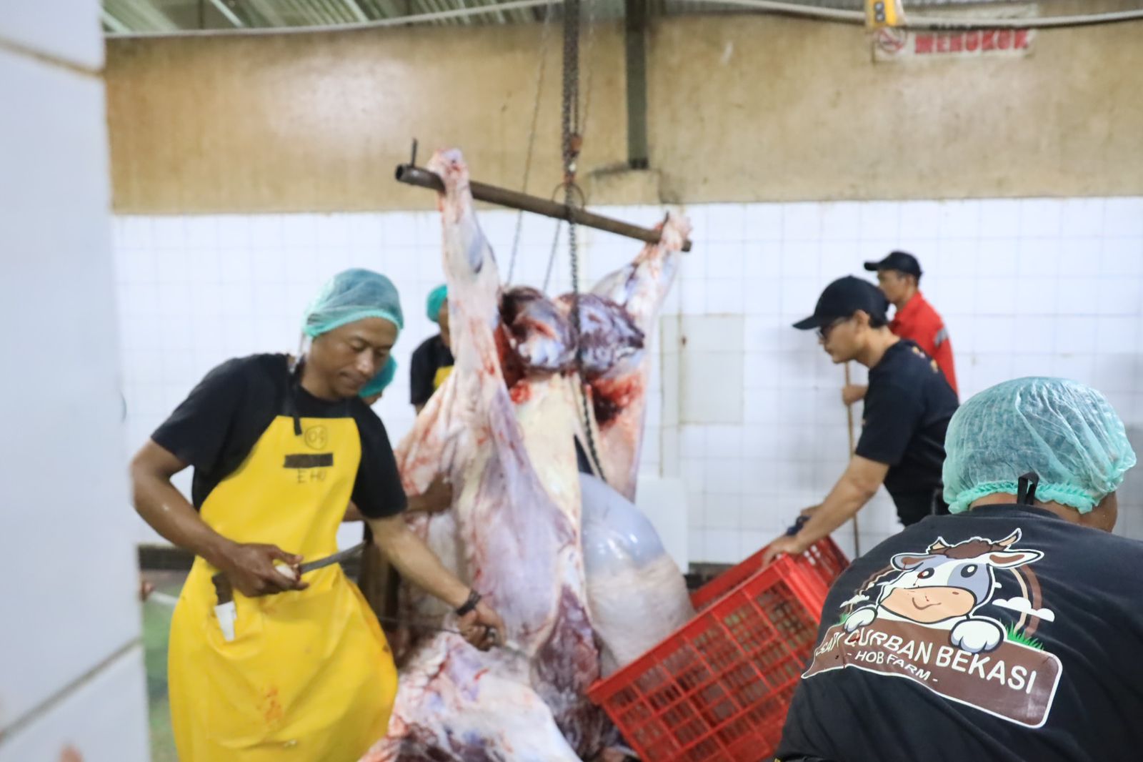Proses pemotongan sapi ternak di Rumah Pemotongan Hewan (RPH) di Harapan Baru, Bekasi Utara. Foto: ist