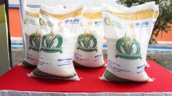 DKPPP Kota Bekasi Akan Monitoring Supermarket dan Toko Beras Usai Temuan Beras Oplosan