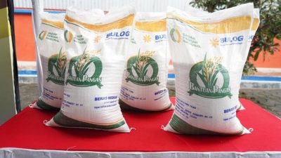 Ilusrasi Beras Bulog untuk bantuang pangan masyarakat. Foto: Ist