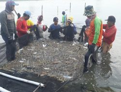 Bekasi Siapkan 10.000 Hektare Tambak untuk Program Revitalisasi Pantura