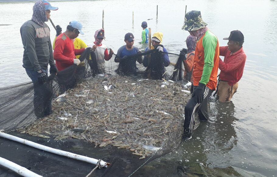 Nelayan di Tamak Udang Muaragembong, Kabupaten Bekasi.