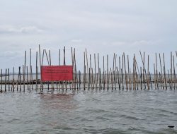 Bareskrim Polri Selidiki Dugaan Pelanggaran Pidana dalam Kasus Pagar Laut di Bekasi