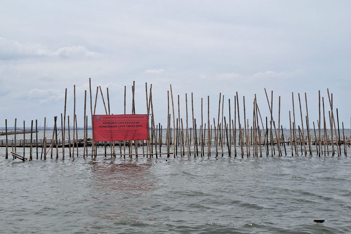 Direktorat Jenderal Pengawasan Sumber Daya Kelautan dan Perikanan (PSDKP) melakukan penyegelan terhadap pagar laut yang ada di pesisir utara Kebupaten Bekasi, Jawa Barat. FOTO: Kompas.com