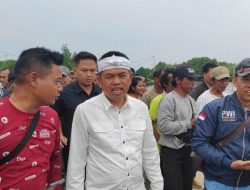 Tinjau Pagar Bambu Laut di Bekasi, Dedi Mulyadi Minta Perusahaan Bongkar Mandiri