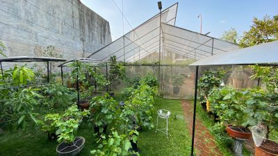 Green House di Bekasi