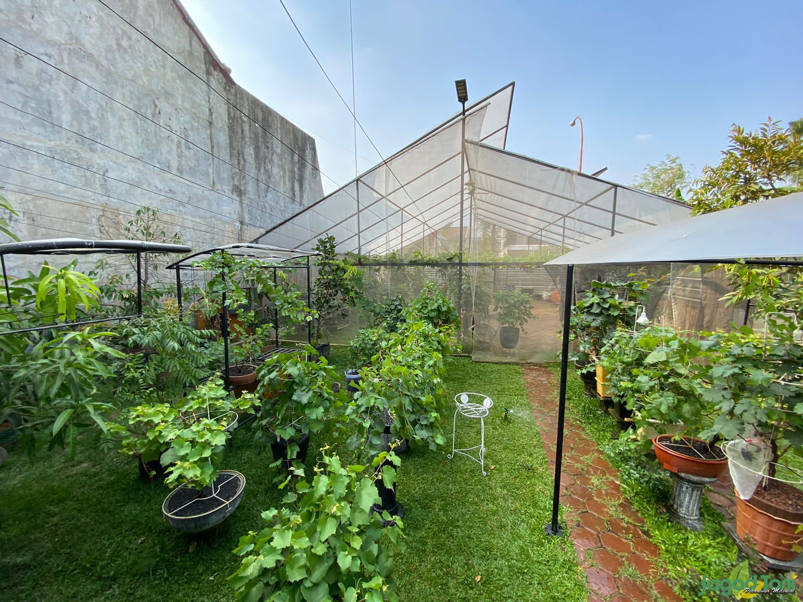 Green House di Bekasi